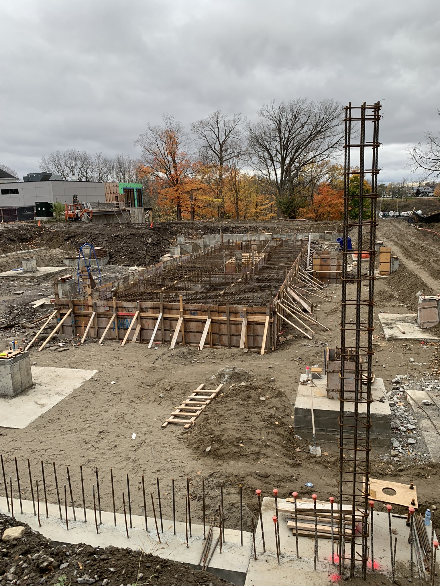 Reinforced foundation and formwork